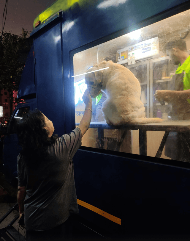 Masterpet mobile grooming van at night - professional pet grooming service available in Kochi